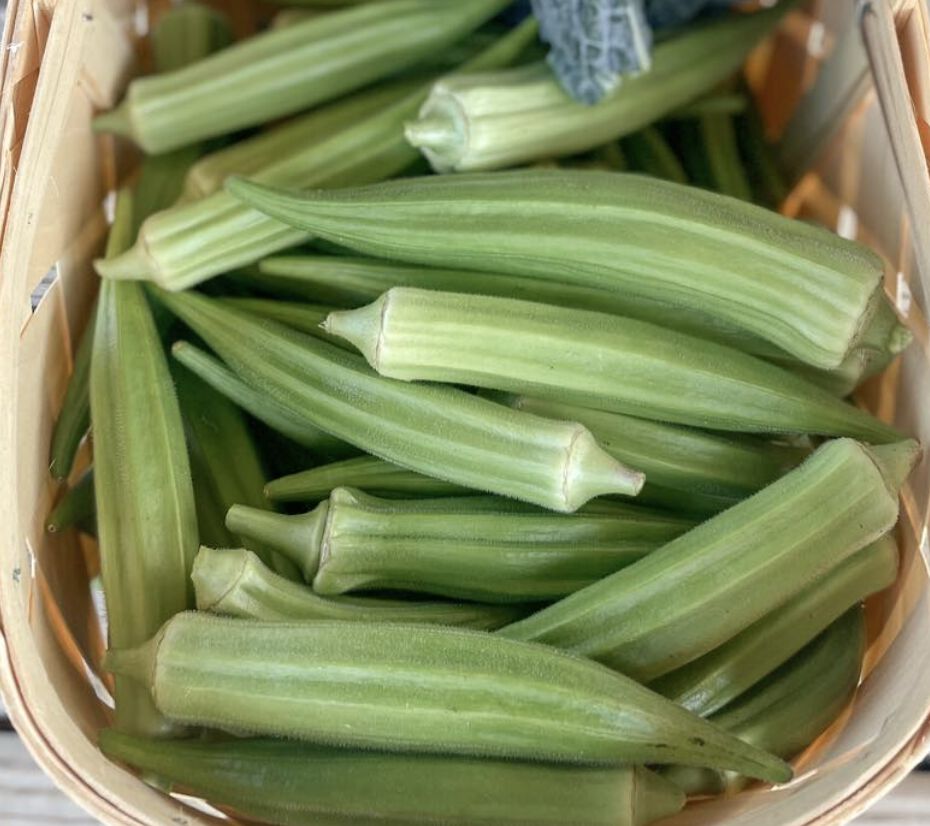 Clemson Spineless 80, Okra Seed | Urban Farmer Clemson Spineless 80, Okra Seed | Urban Farmer